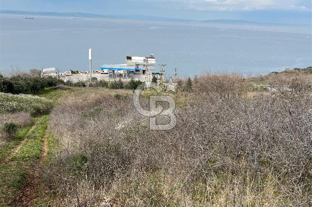 ÇANAKKALE LAPSEKİ ŞEVKETİYE KÖYÜ DENİZ MANZARALI SATILIK TARLA