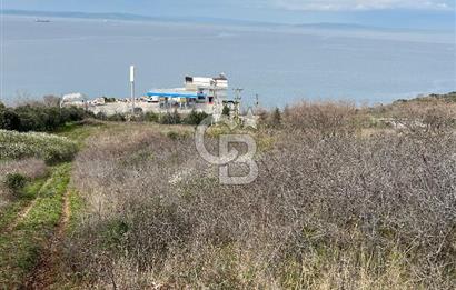 ÇANAKKALE LAPSEKİ ŞEVKETİYE KÖYÜ DENİZ MANZARALI SATILIK TARLA