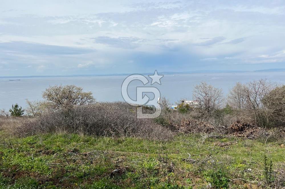 ÇANAKKALE LAPSEKİ ŞEVKETİYE KÖYÜ DENİZ MANZARALI SATILIK TARLA