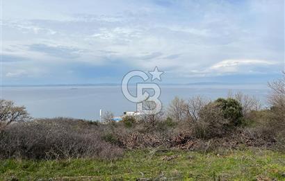 ÇANAKKALE LAPSEKİ ŞEVKETİYE KÖYÜ DENİZ MANZARALI SATILIK TARLA