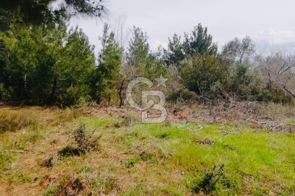 Çanakkale Gelibolu Pazarlı Satılık Arsa 530 M2 Deniz Manzaralı