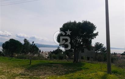 Çanakkale Gelibolu Pazarlı Satılık Arsa 530 M2 Deniz Manzaralı