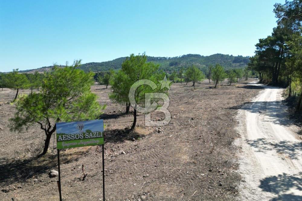 ÇANAKKALE ASOS SAZLI'DA EKO-TURİZM İMARLI SATILIK ARSA