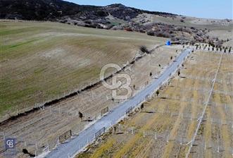 Yayla Havasında Ormana Komşu Site İçerisinde Satılık Arazi