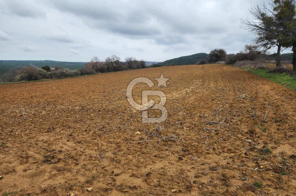 Edirne Keşan Gökçetepe Satılık 5.482 M2 Arazi