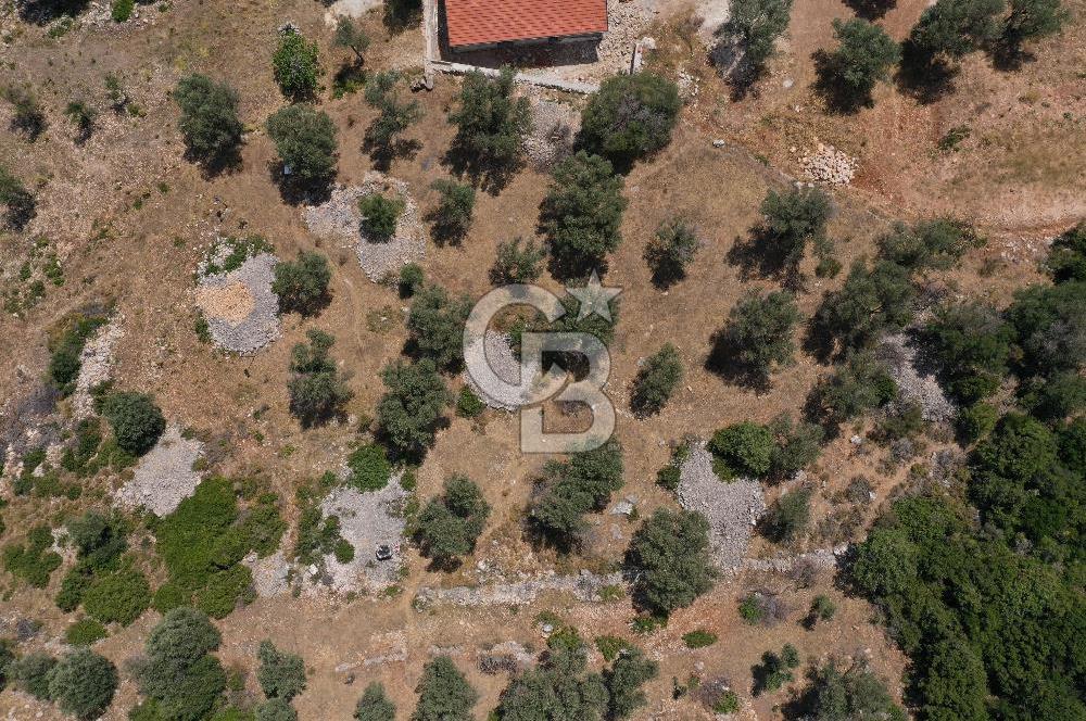 Karaburun Kösedere Başpınar Mevkiinde 1.864 m2 Tarla