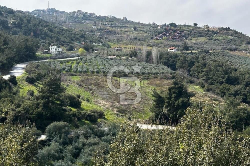 Manisa Salihli Allahdiyen Kurşunlu Vadisi'nde Satılık Tarla