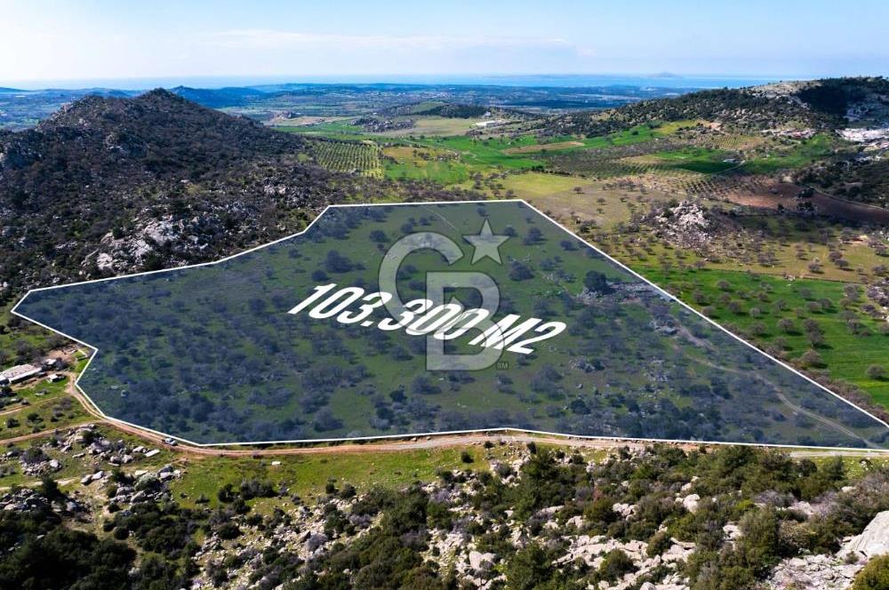 ÇANAKKALE EZİNE KOÇALİ 32 DÖNÜM YATIRIM İÇİN UYGUNDUR.