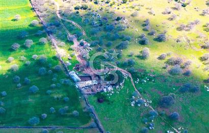 ÇANAKKALE EZİNE KOÇALİ 32 DÖNÜM YATIRIM İÇİN UYGUNDUR.