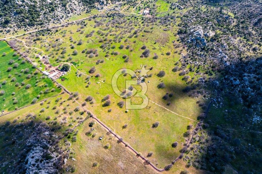 ÇANAKKALE EZİNE KOÇALİ 32 DÖNÜM YATIRIM İÇİN UYGUNDUR.