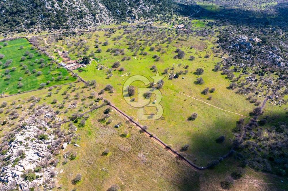 ÇANAKKALE EZİNE KOÇALİ 32 DÖNÜM YATIRIM İÇİN UYGUNDUR.