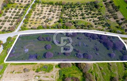 Aliağa Güzelhisar'da Çift Yol Cepheli 13.000 m² Tarla