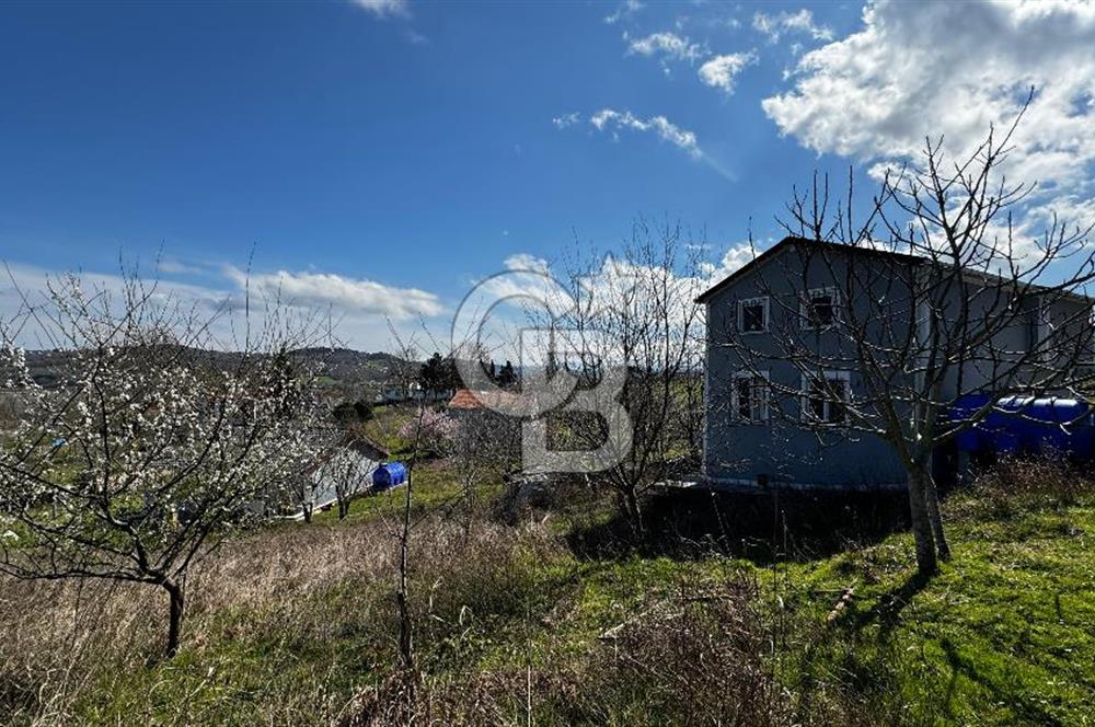 CB Ünal Bayzat'tan Sinop Dibekli köyünde satılık ev ve arsası