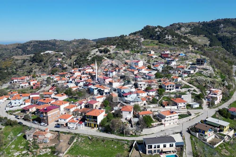 Güzelbahçe Payamlı'da Köy Meydanına Yakın Yolu Bulunan Zeytinlik