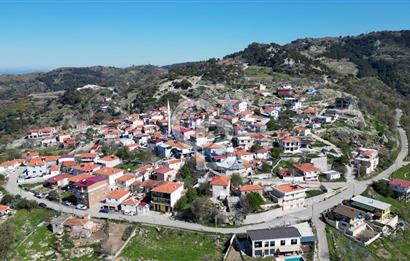 Güzelbahçe Payamlı'da Köy Meydanına Yakın Yolu Bulunan Zeytinlik