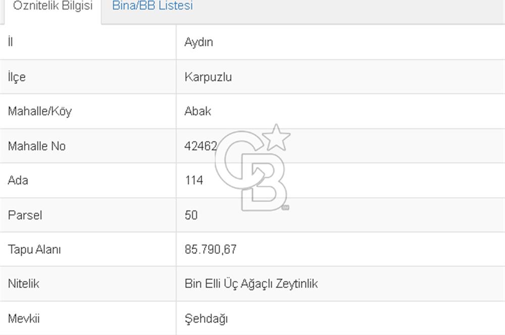 Aydın Karpuzlu Abak Köyü 42 Dönüm m2 Satılık Zeytinlik