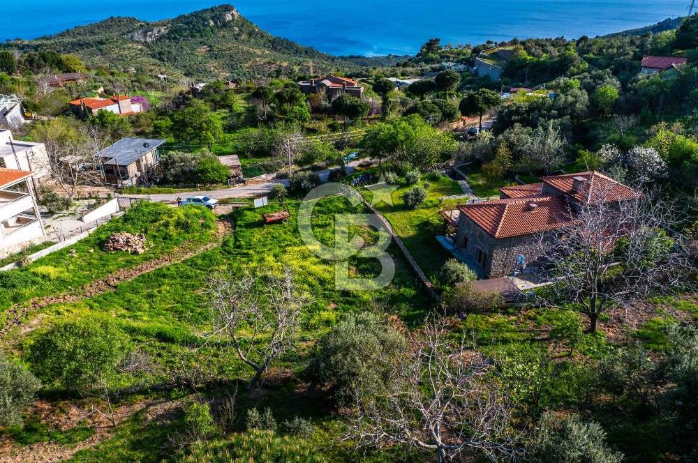 ÇANAKKALE AYVACIK KAYALAR KÖYÜ DENİZ MANZARALI 2 TAPU TEK FİYAT