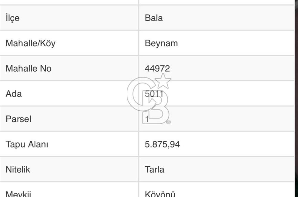 BALA BEYNAMDA KÖŞE KÖK TAPU 5875 MT2 BAHÇELİK TARLA