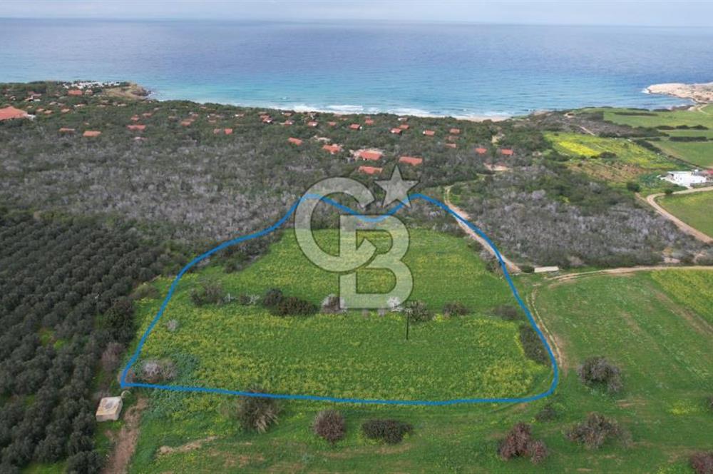 Kıbrıs iskele Bölgesinde Satılık Arazi