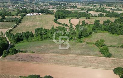 Çanakkale Yenice Karabey Köyünde Satılık 6750M² Satılık Tarla !