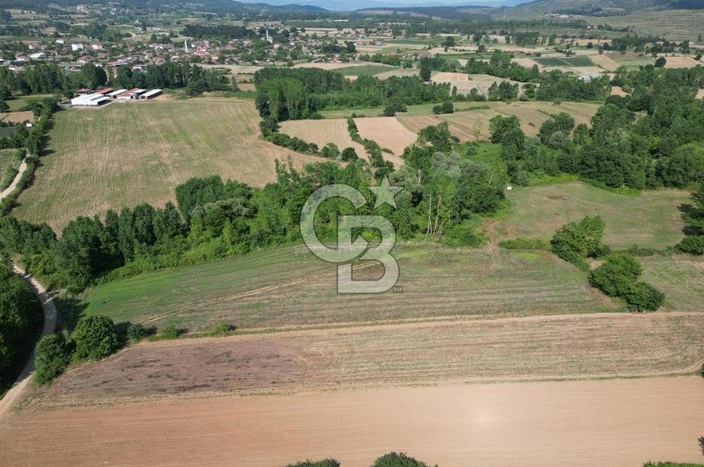 Çanakkale Yenice Karabey Köyünde Satılık 6750M² Satılık Tarla !