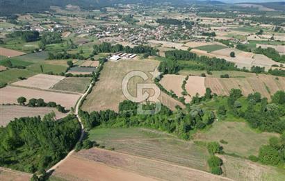 Çanakkale Yenice Karabey Köyünde Satılık 6750M² Satılık Tarla !