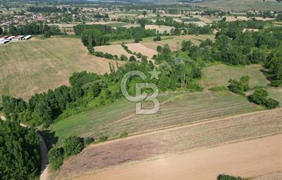 Çanakkale Yenice Karabey Köyünde Satılık 6750M² Satılık Tarla !