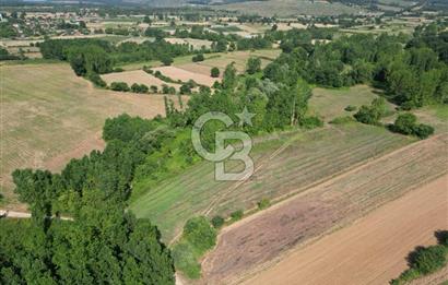 Çanakkale Yenice Karabey Köyünde Satılık 6750M² Satılık Tarla !