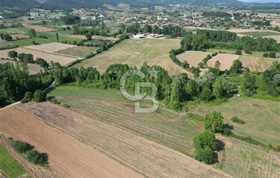 Çanakkale Yenice Karabey Köyünde Satılık 6750M² Satılık Tarla !