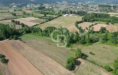 Çanakkale Yenice Karabey Köyünde Satılık 6750M² Satılık Tarla !