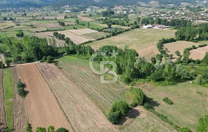 Çanakkale Yenice Karabey Köyünde Satılık 6750M² Satılık Tarla !