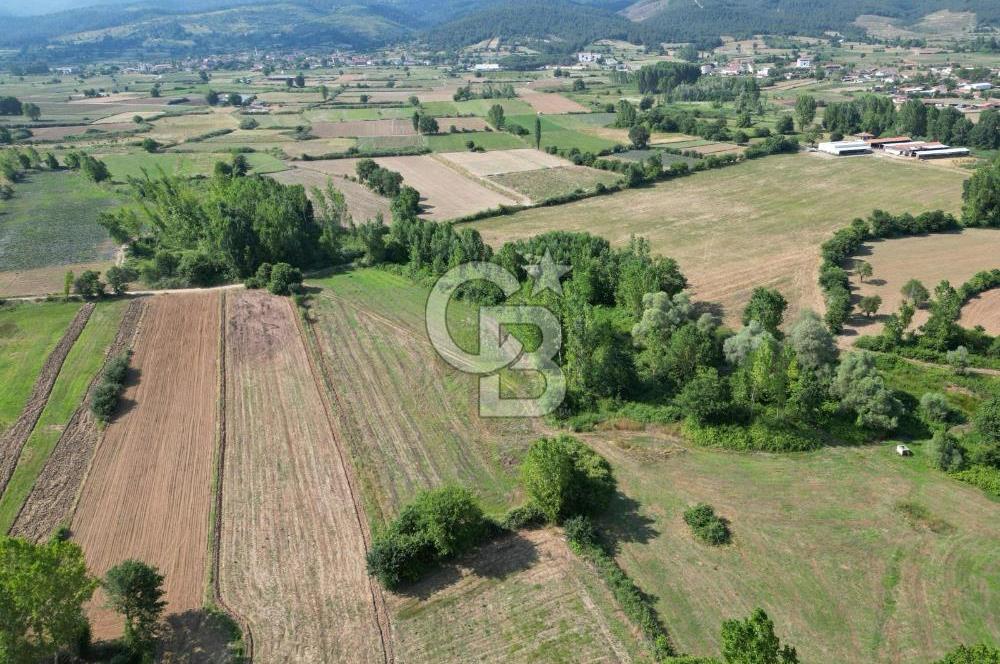 Çanakkale Yenice Karabey Köyünde Satılık 6750M² Satılık Tarla !