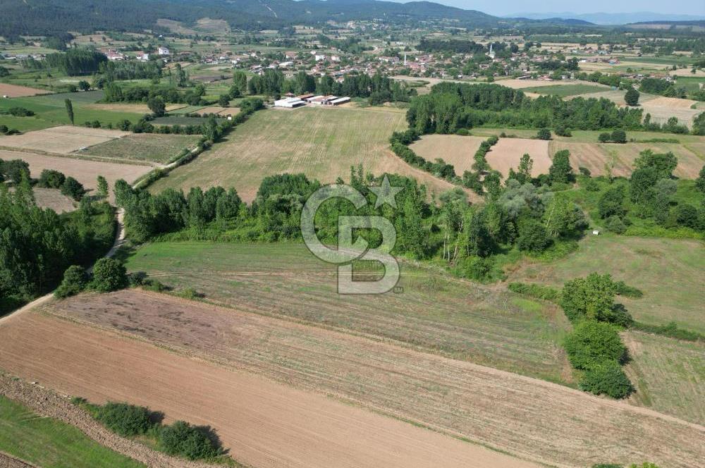 Çanakkale Yenice Karabey Köyünde Satılık 6750M² Satılık Tarla !