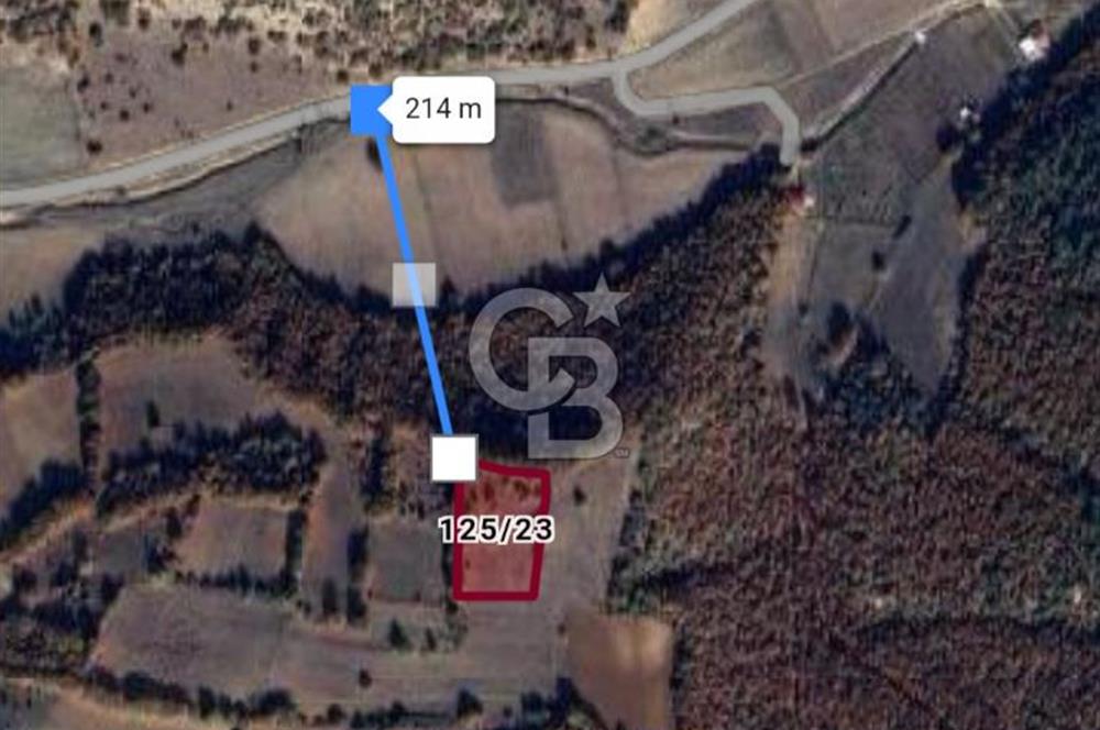 Bilecik Bozüyük Çaydere'de 3791 m² Satılık Tarla