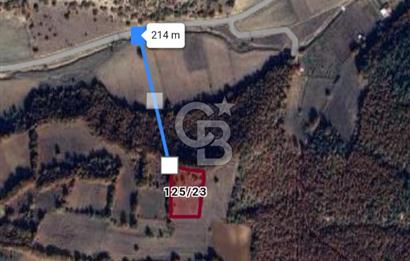 Bilecik Bozüyük Çaydere'de 3791 m² Satılık Tarla
