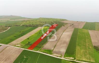 Çanakkale Kumkale de Boğaz Manzaralı Yola Cepheli Satılık Tarla