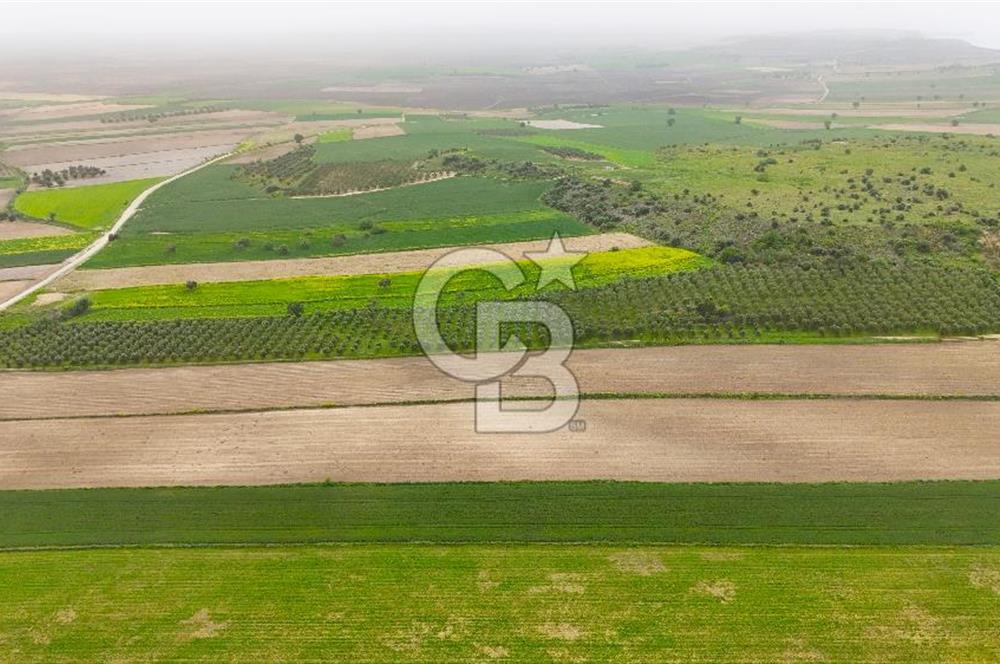 Çanakkale Kumkale de Boğaz Manzaralı Yola Cepheli Satılık Tarla