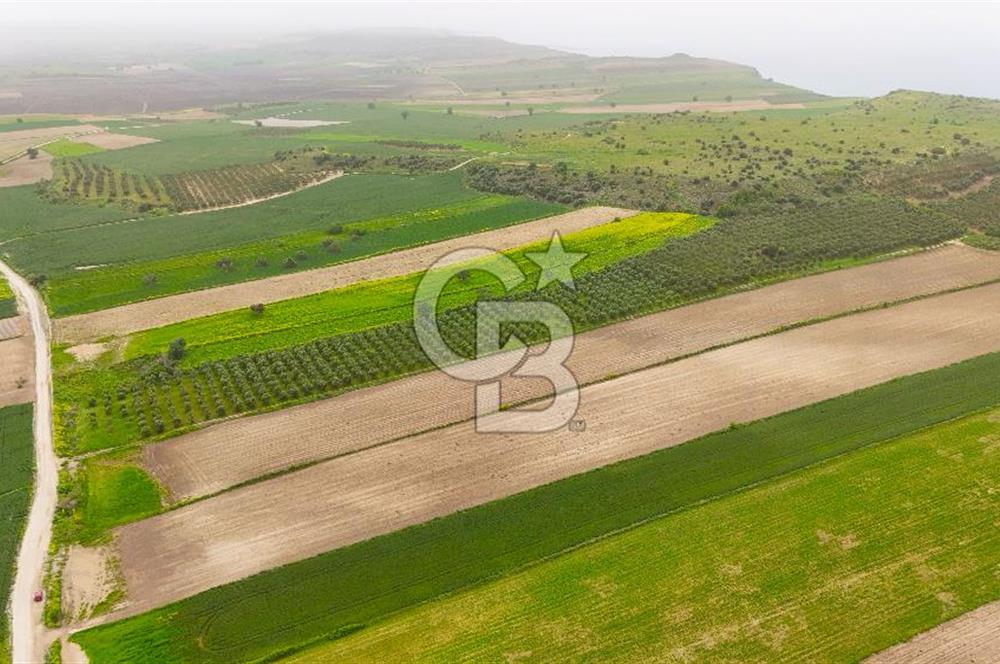 Çanakkale Kumkale de Boğaz Manzaralı Yola Cepheli Satılık Tarla