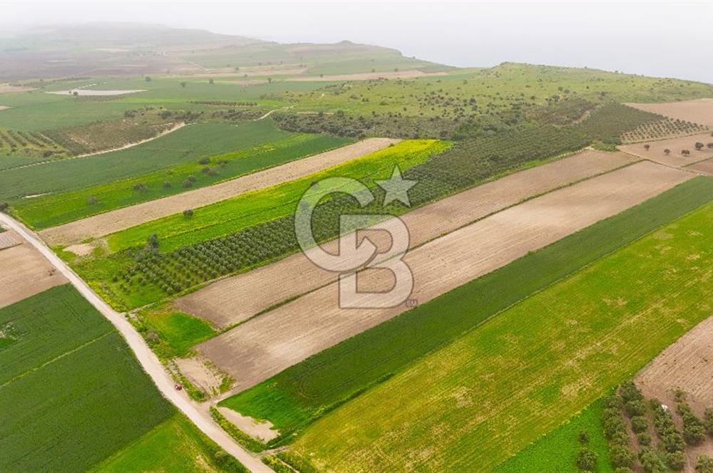 Çanakkale Kumkale de Boğaz Manzaralı 13.150 m² Satılık Tarla