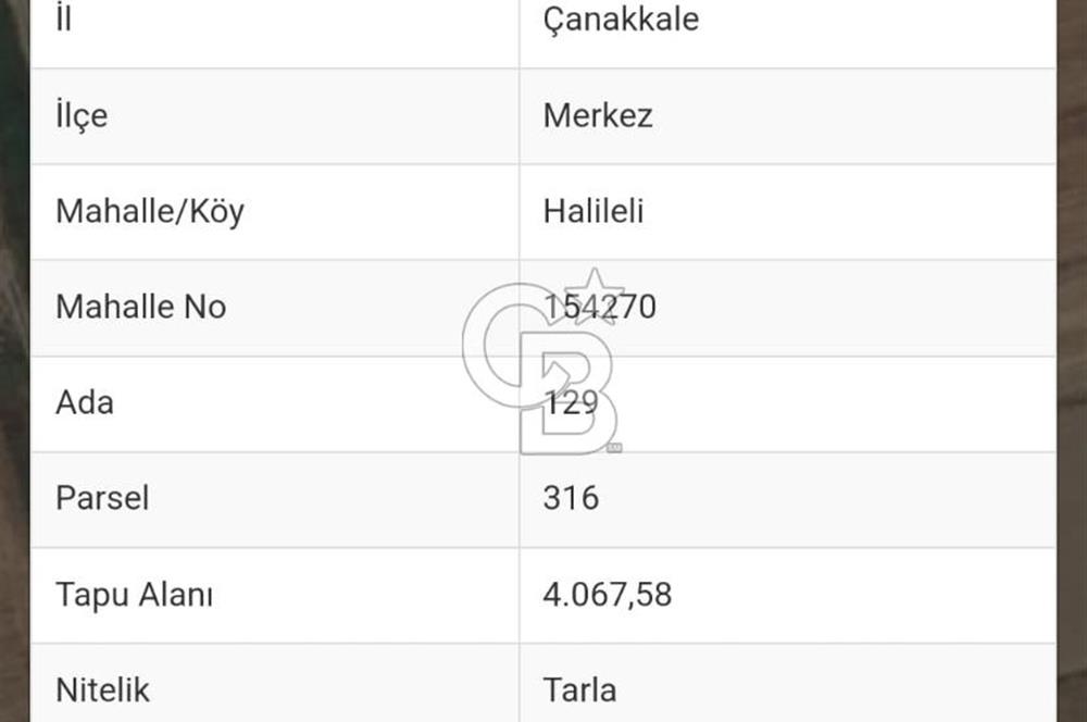 ÇANAKKALE HALİLELİ 'NDE SATILIK YATIRIMLIK TARLA