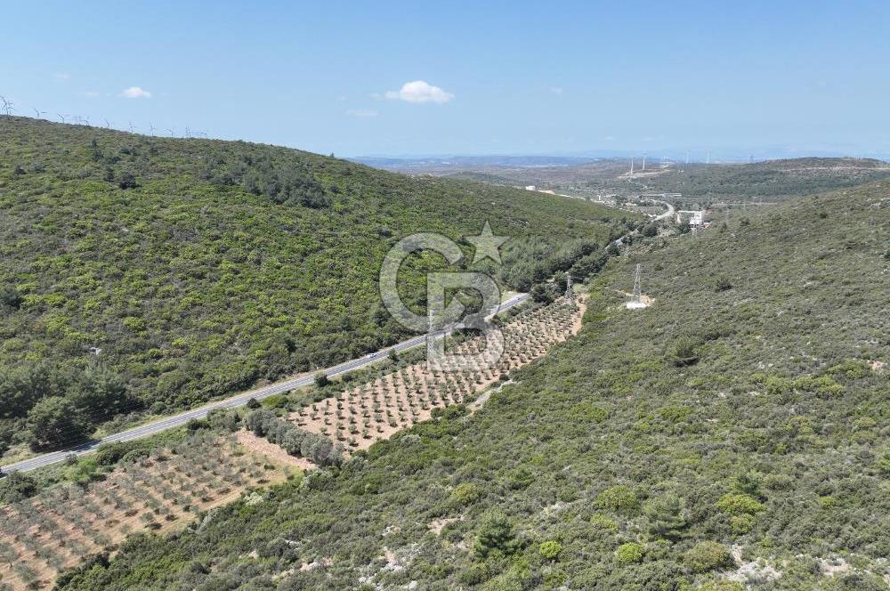 İzmir Urla Nohutalan'da Satılık Tarla