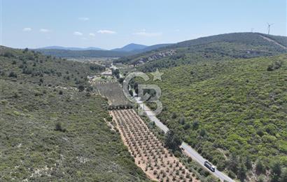 İzmir Urla Nohutalan'da Satılık Tarla