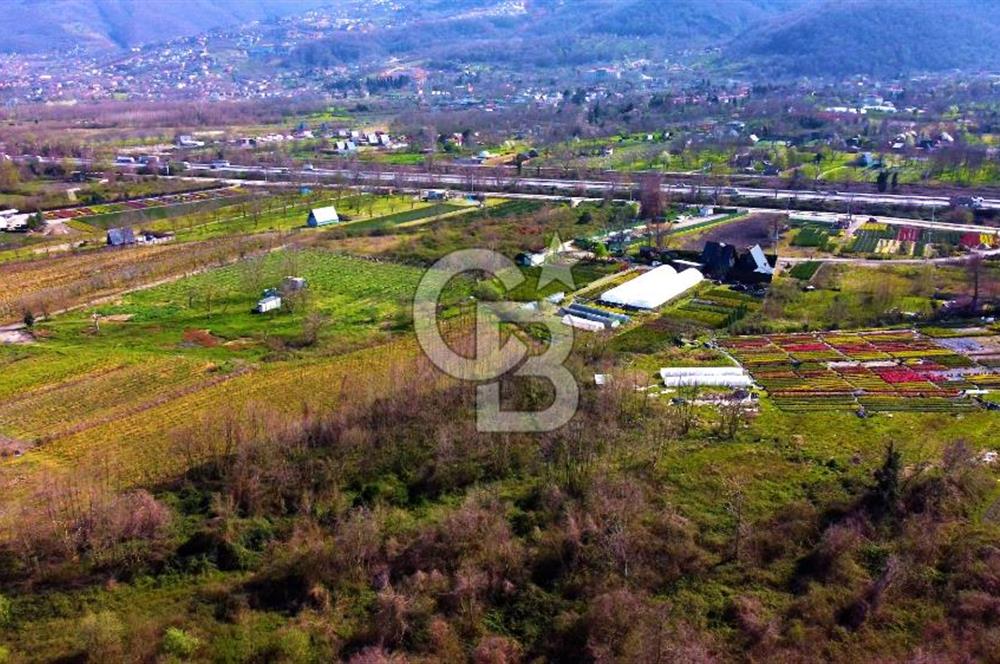 CB AKADEMİ SAPANCA YANIK GÖL KENARI 2043 m² SATILIK FIRSAT ARSA