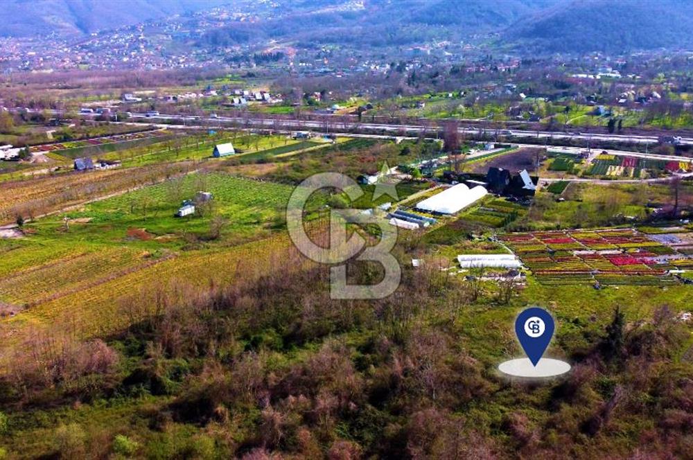 CB AKADEMİ SAPANCA YANIK GÖL KENARI 2043 m² SATILIK FIRSAT ARSA