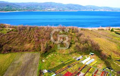 CB AKADEMİ SAPANCA YANIK GÖL KENARI 2043 m² SATILIK FIRSAT ARSA