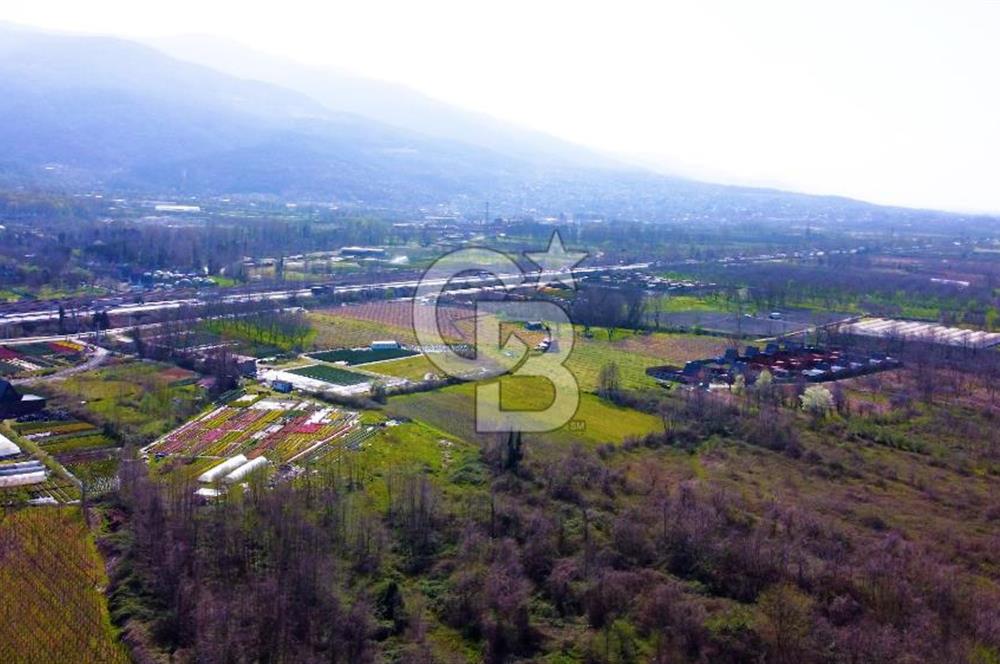 CB AKADEMİ SAPANCA YANIK GÖL KENARI 2043 m² SATILIK FIRSAT ARSA