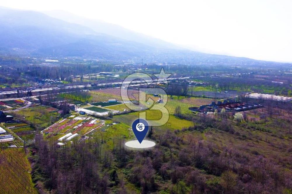 CB AKADEMİ SAPANCA YANIK GÖL KENARI 2043 m² SATILIK FIRSAT ARSA