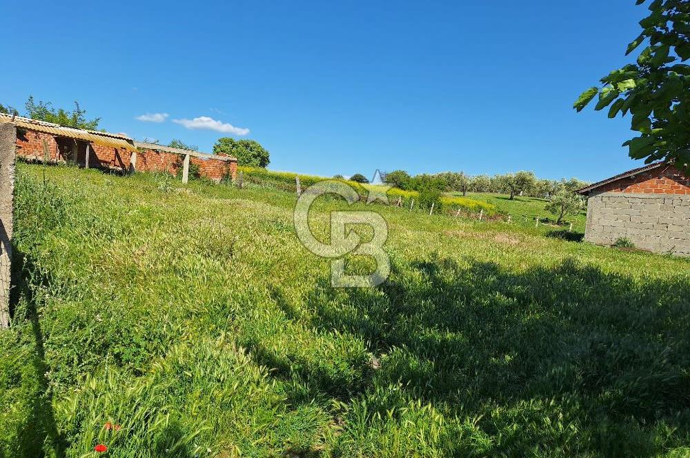 ÇANAKKALE BAYRAMİÇ ÇATALÇAM KÖYÜ İMARLI SATILIK ARSA