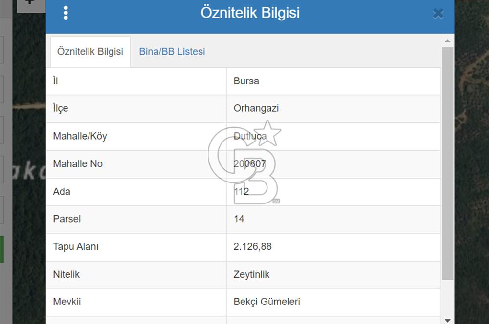Bursa Orhangazi Dutluca da 2.126 m2 Satılık Zeytinlik