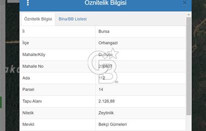 Bursa Orhangazi Dutluca da 2.126 m2 Satılık Zeytinlik